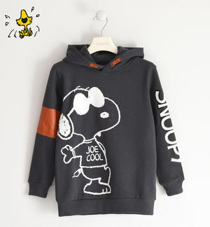 Boy's Peanuts sweatshirt GREY