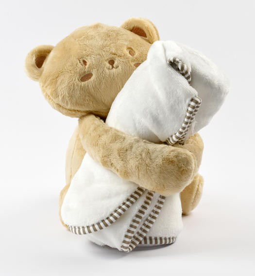 teddy bear with blanket