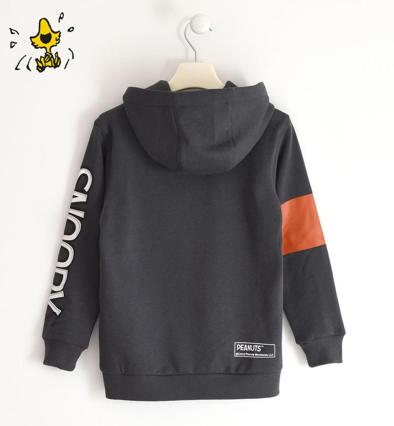 Felpa ragazzo Peanuts da 8 a 16 anni Sarabanda GRIGIO SCURO-0566