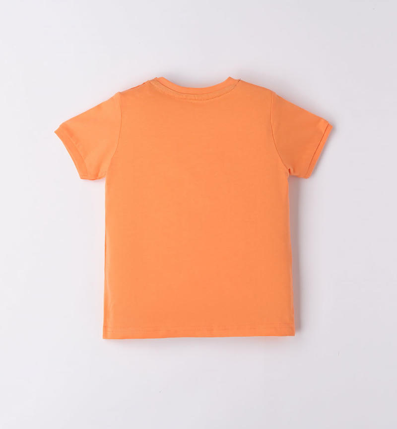 T-shirt zebra bambino da 9 mesi a 8 anni Sarabanda MELON-1936